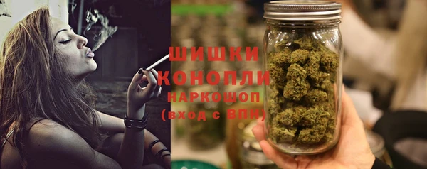 гашик Богородицк