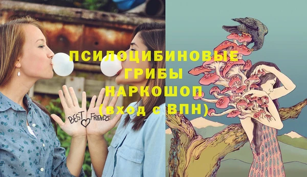 мескалин Бородино