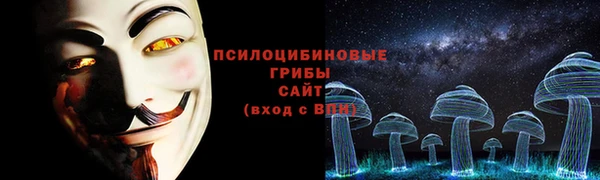 бутират Богданович