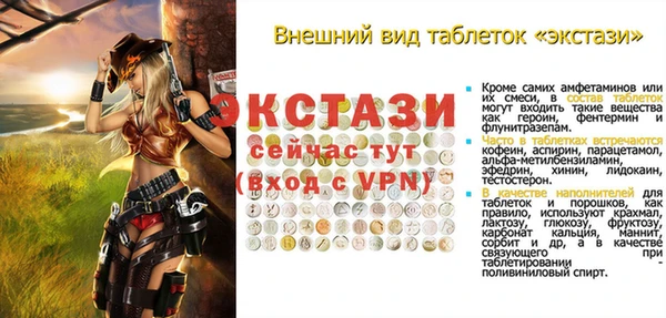гашик Богородицк