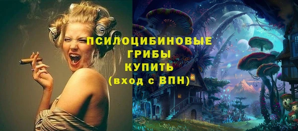 гашик Богородицк