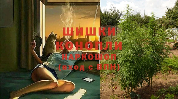 бутират Богданович