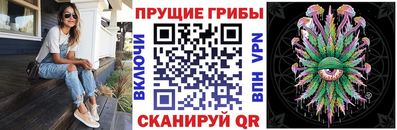 как найти   Бугуруслан  Псилоцибиновые грибы мухоморы 